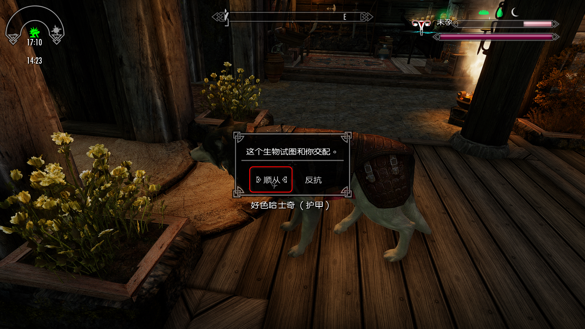 1767570109942854.jpg 2298573549.jpg